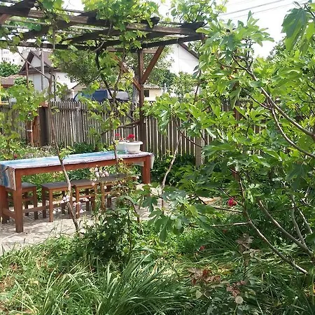 Hébergement de vacances Casa Adrya *